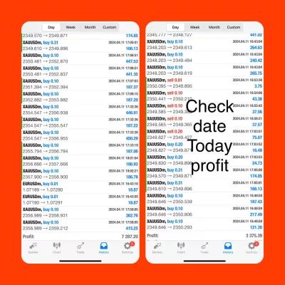 I will mt4 trading robot high profit forex expert advisor forex trading bot no loss